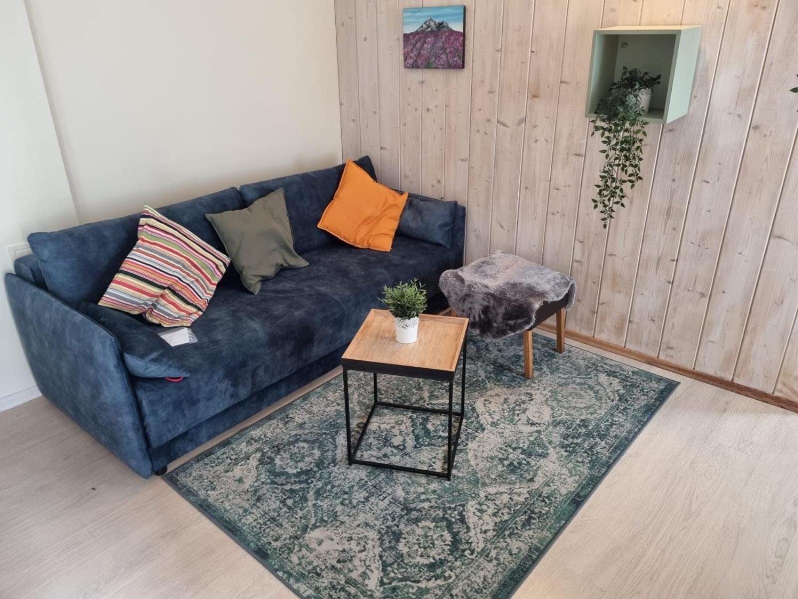 Igo Apartment Townhall VNO Esterno foto